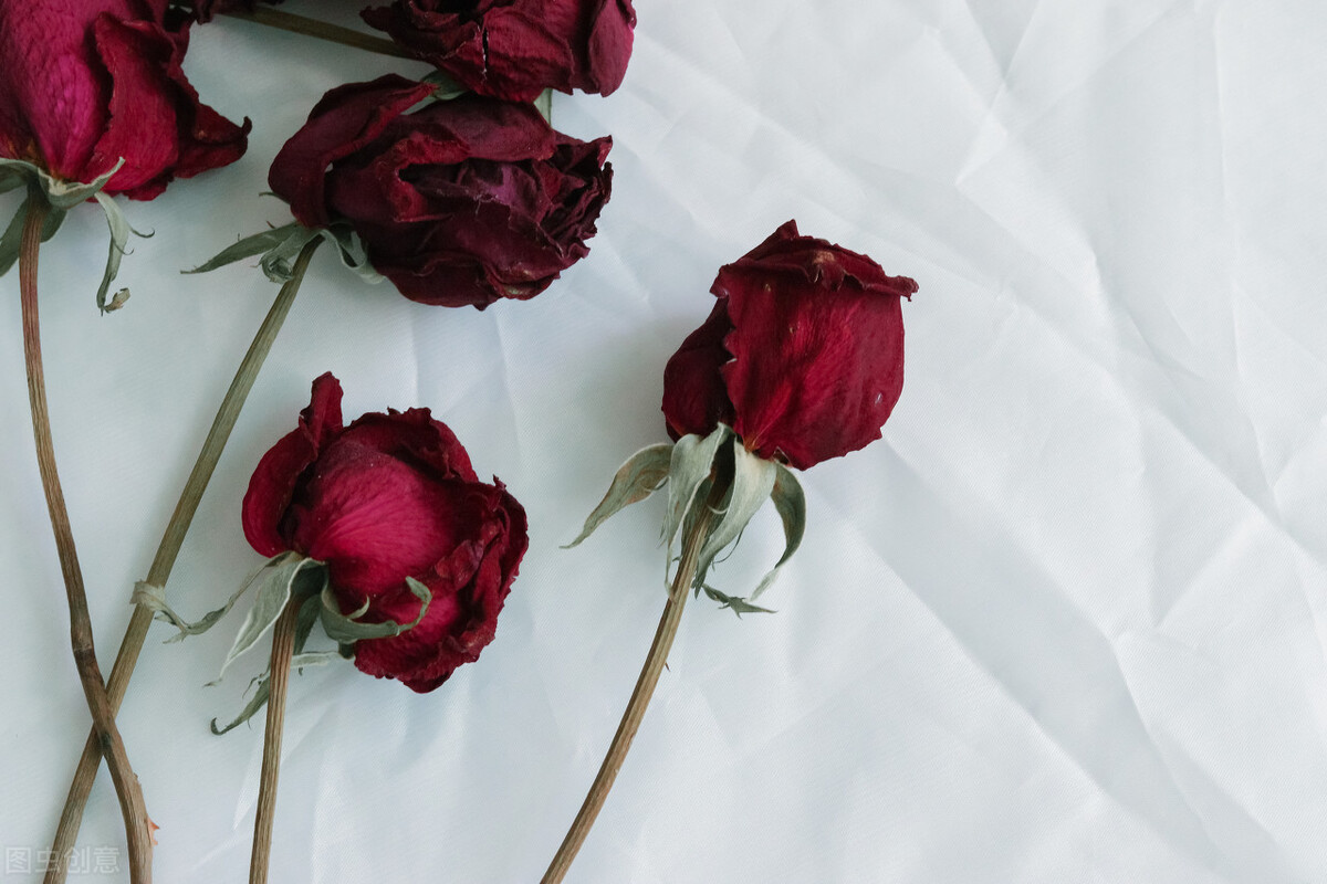 京喜店群：无货源店群怎么做？入驻基本操作看过来