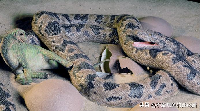 Counting the ancient giants among snakes, the Titan Python is the top ...