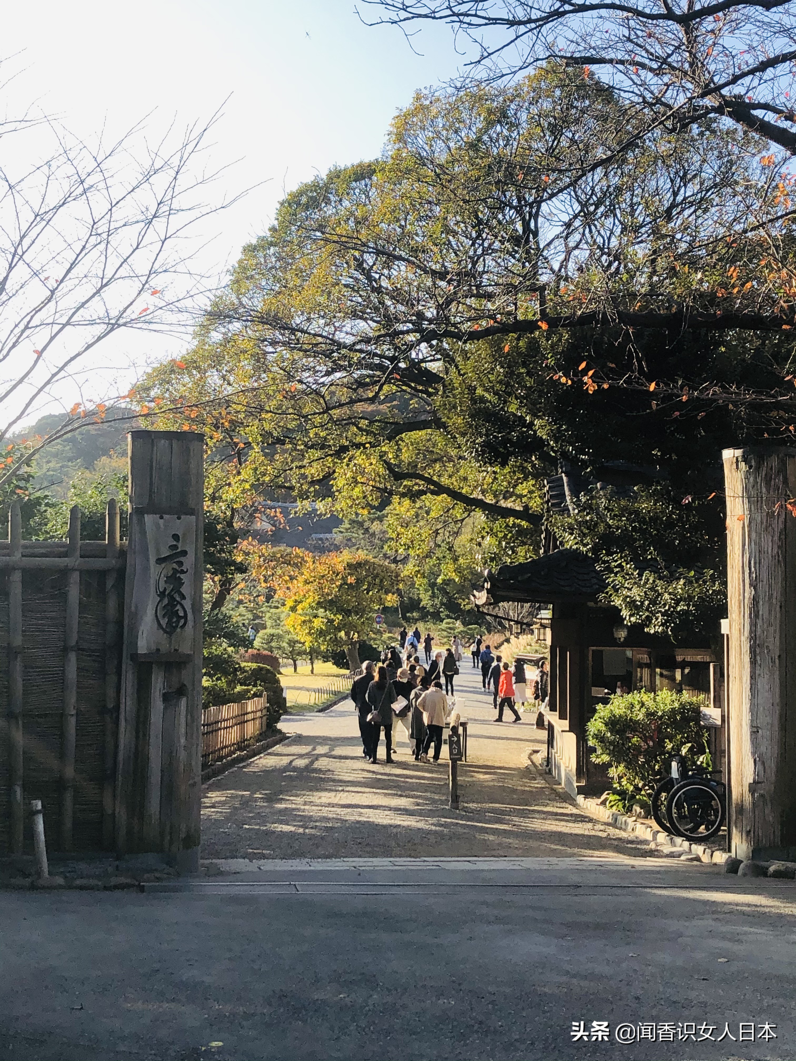 橫濱三溪園一代實業家打造的日式庭園 17座建築來自京都和鎌倉 中國熱點