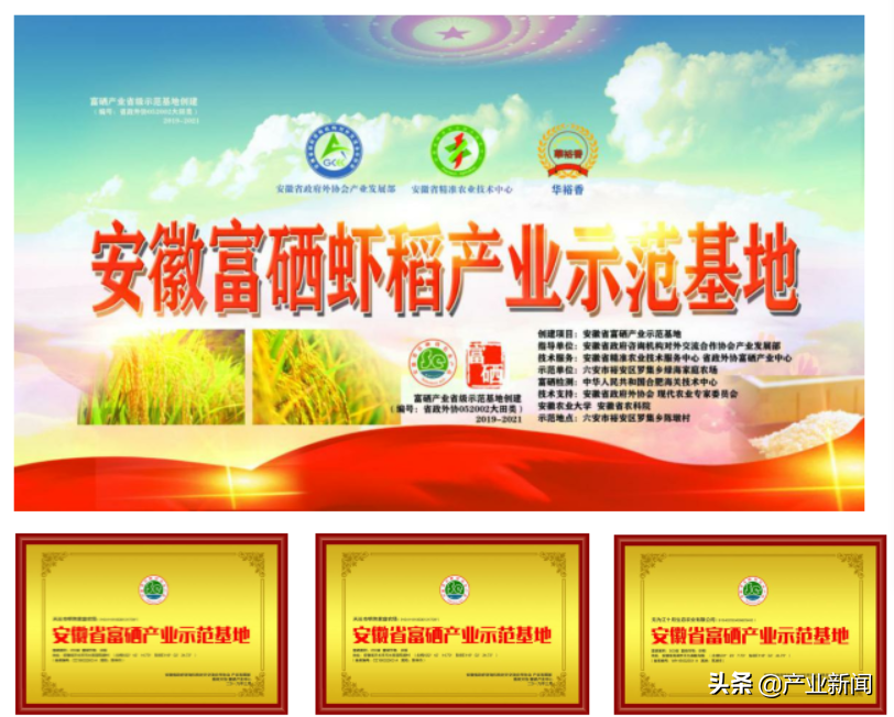 （安徽省）富硒稻米发展可行性报告——种植特