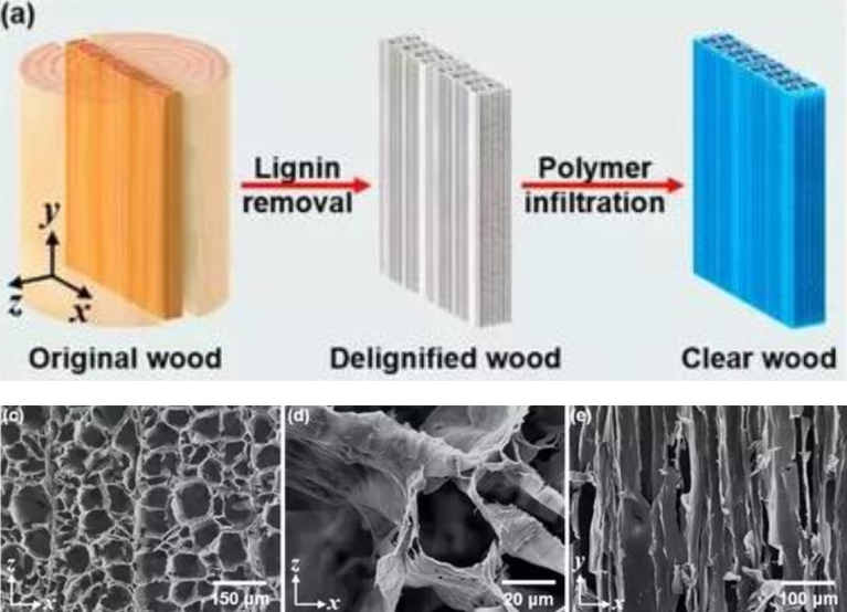 华人科学家造出超硬核“透明木材”，未来能完全替代玻璃？