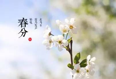 今天是春分，农村老话“春分一事二菜三茶四预