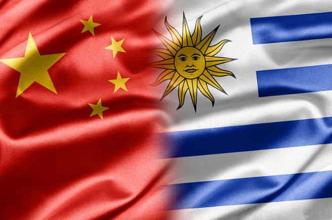 澳洲乾瞪眼，中國已經另尋買家，同烏拉圭簽署五萬頭活牛進口協議