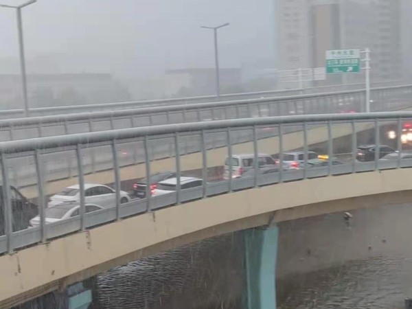 暴雨无情人有情