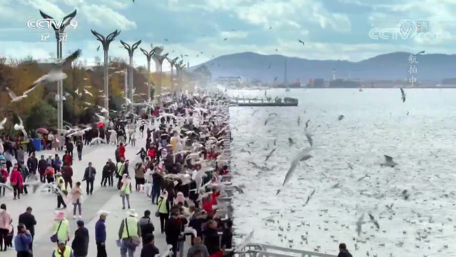 《航拍中国》第三季-《一同飞越》:再次启航！在