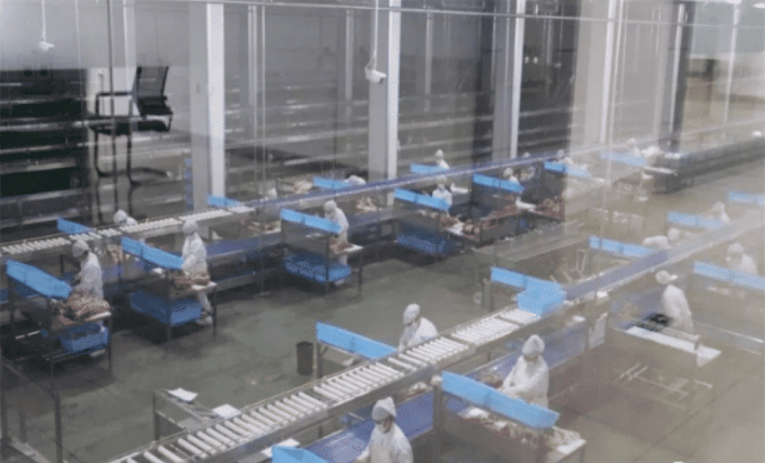 中方“反制”成功一场激烈“斗殴”正在上演澳大利亚已经感到恐惧