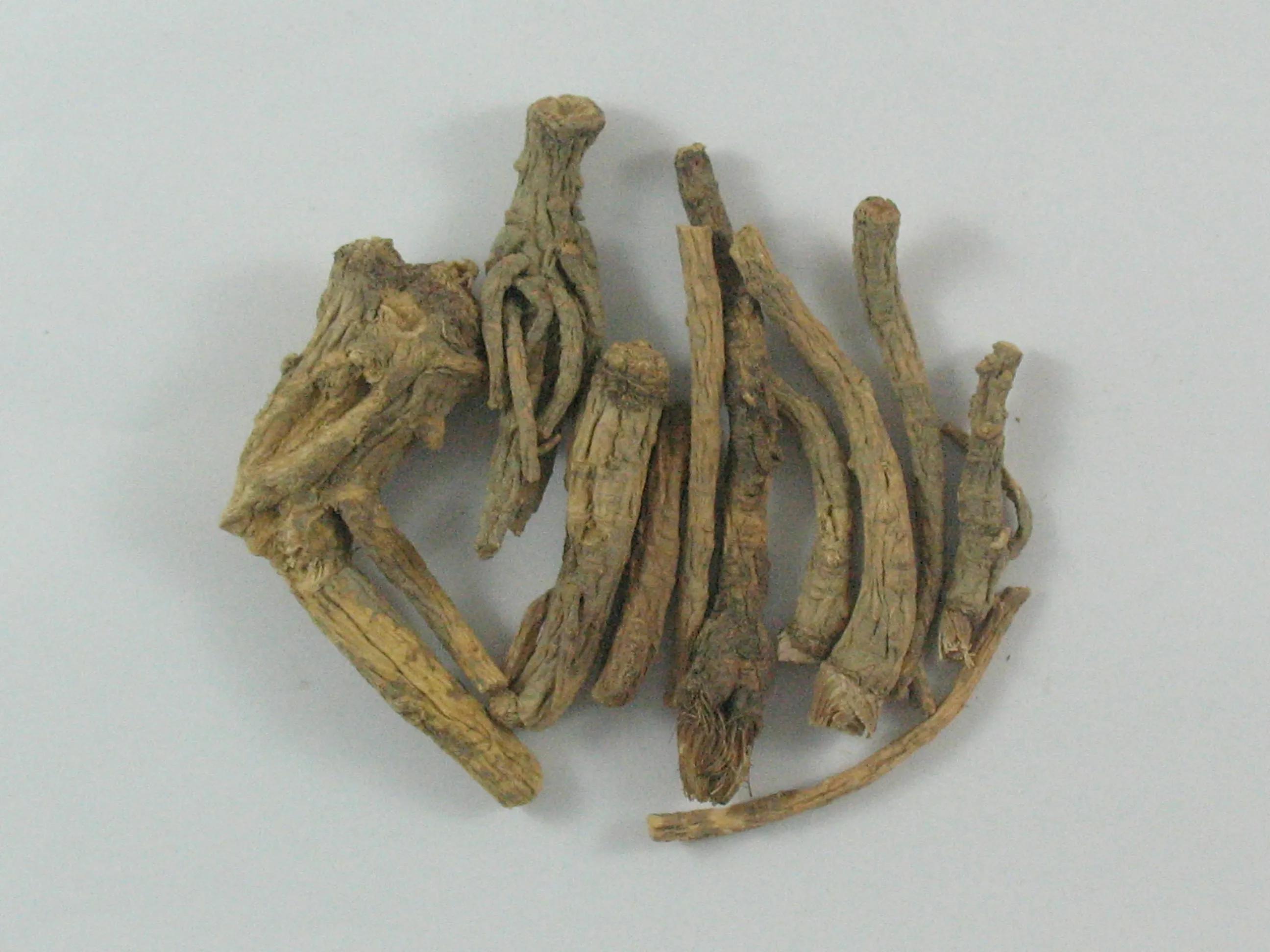 中药古今研究:前胡