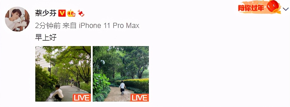 蔡少芬公园遛娃，2岁鱼蛋撸起袖子拿着竹竿，似执剑行侠仗义萌翻