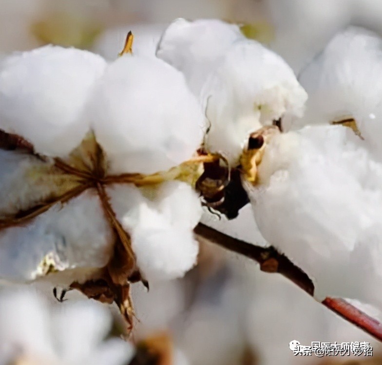 Quilt deodorant tips, better than drying quilts iNEWS