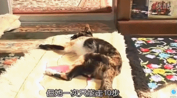 豆瓣9.0，风靡岛国十年，国民女神集体为它沦陷