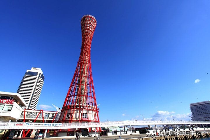 神居专访｜从全职太太到中日地产精英，华丽转身背后是ai的力量