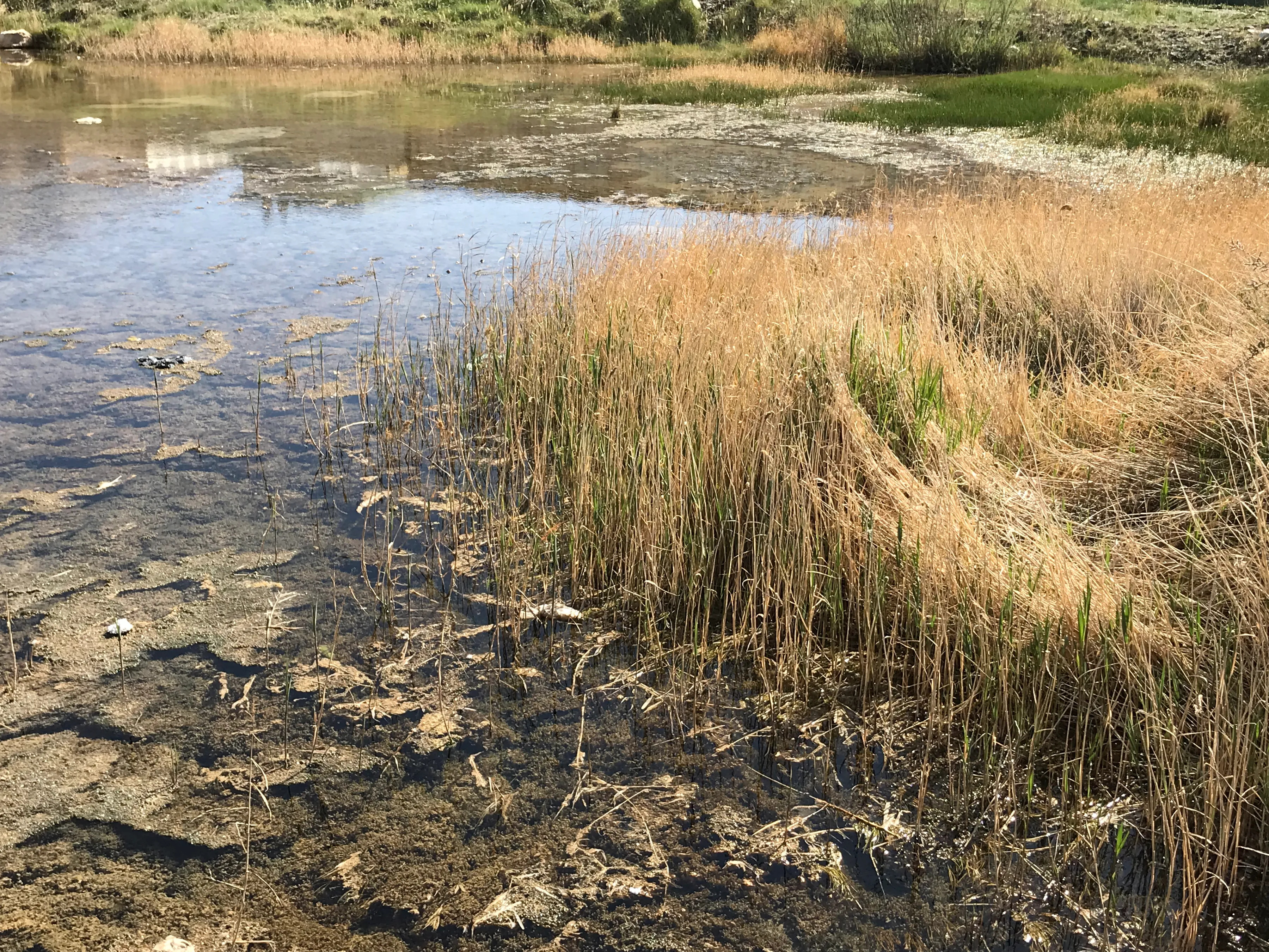 Colorful Qaidam (6) Golmud