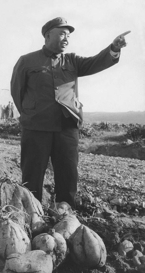 越南为何至今无法翻身，许世友撤军前三个命令