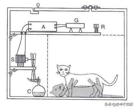 科普每一片|电影《心灵传输者》中的瞬间转移人