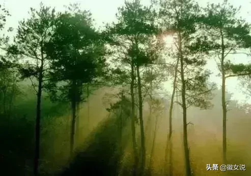 当涂县属于哪个市(当涂县的历史概述)插图30 马鞍山当涂,曾统领芜湖500年