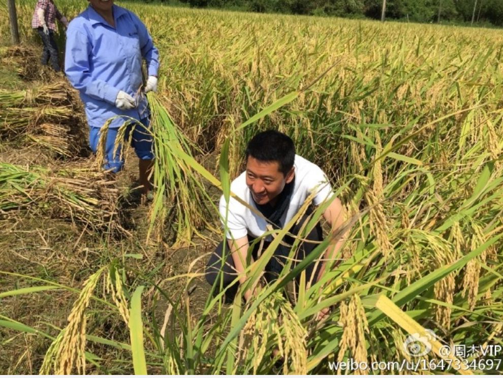 《少年包青天》播出第20年，有人成了农民，有人
