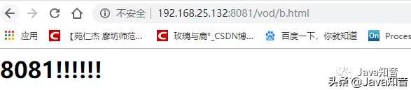 就是要让你搞懂Nginx，这篇就够了