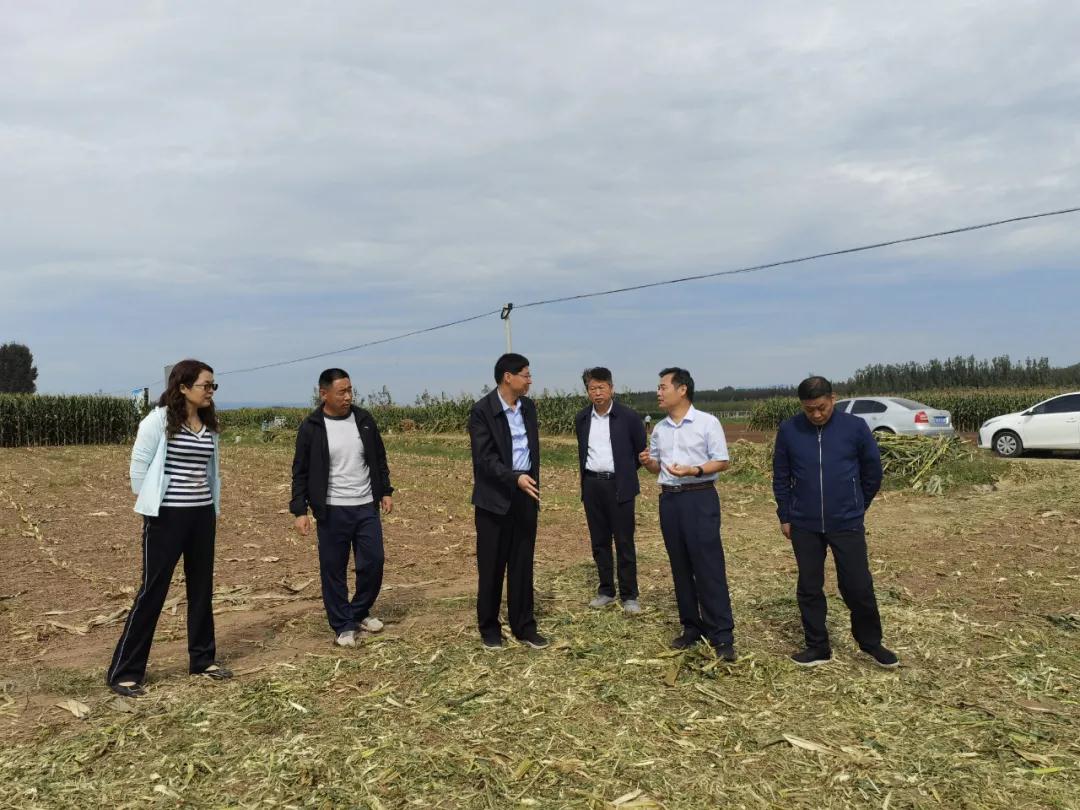 "双节"假期不停歇，临沂市掀起秸秆禁烧工作热潮