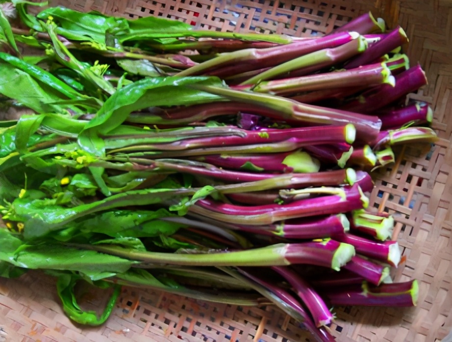 图片[2]-清炒红菜苔的做法步骤图 菜苔吃着香还不发苦-起舞食谱网
