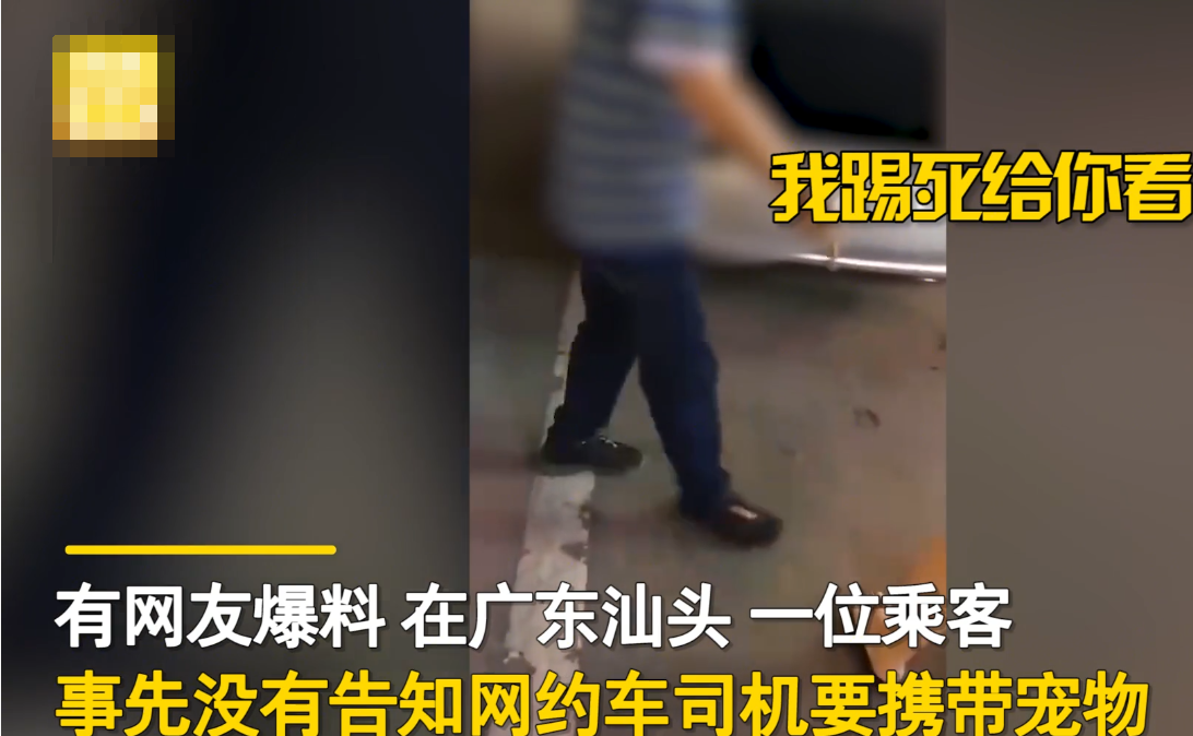 “踢死给你看！”广东一乘客悄悄带宠物坐车被发现，司机一脚将其踹飞