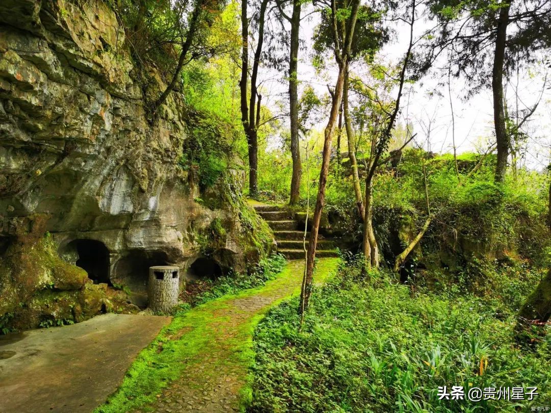 Suiyang Visit the Yingpan Site of Manaoshan in Suiyang Town - iNEWS