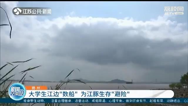 江豚■扬州三名大学生江边“数船”为江豚生存“避险”