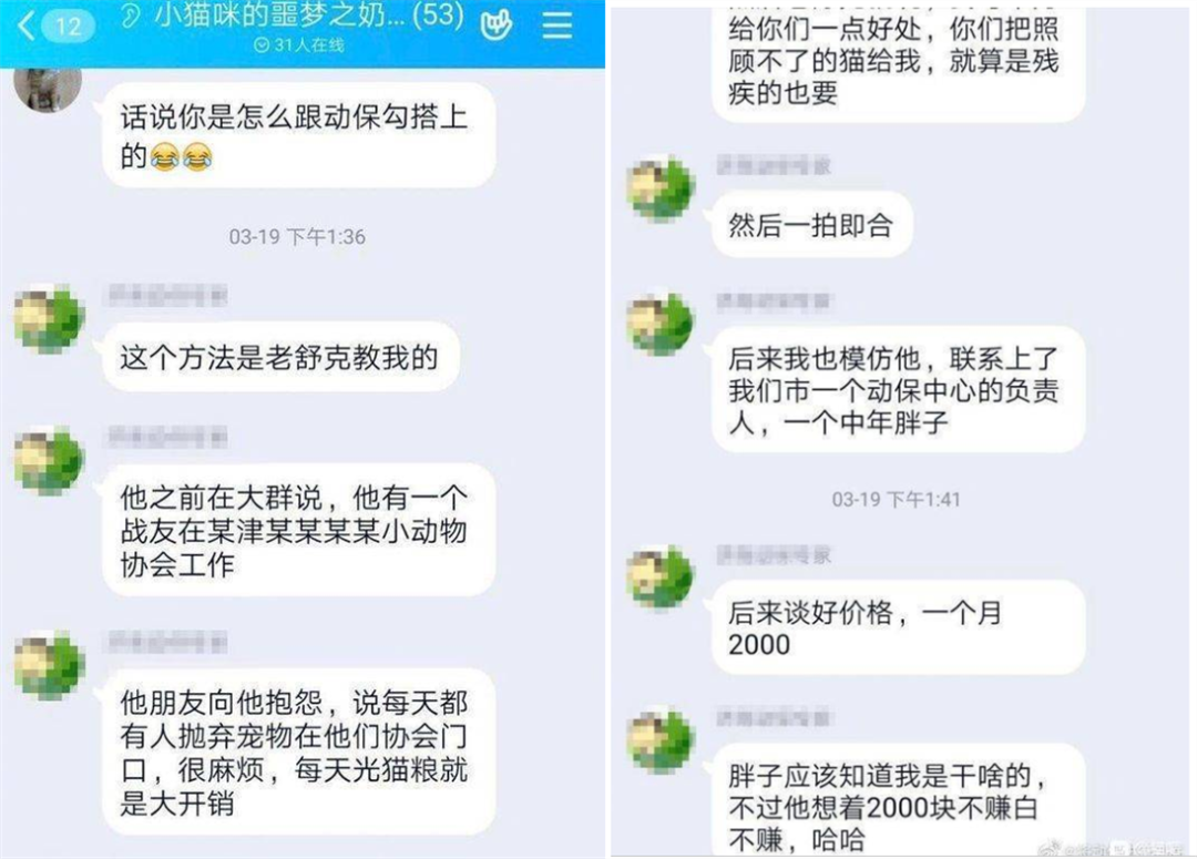 虐猫，真的只是虐了一只猫吗？