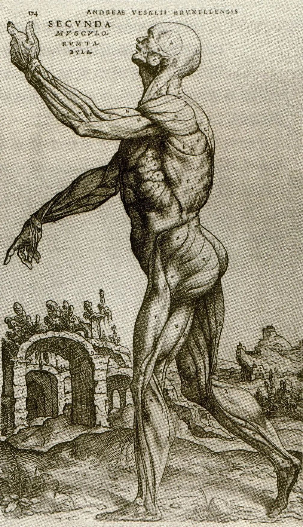 藏文科普 | 當繪畫遇上“結構元素”