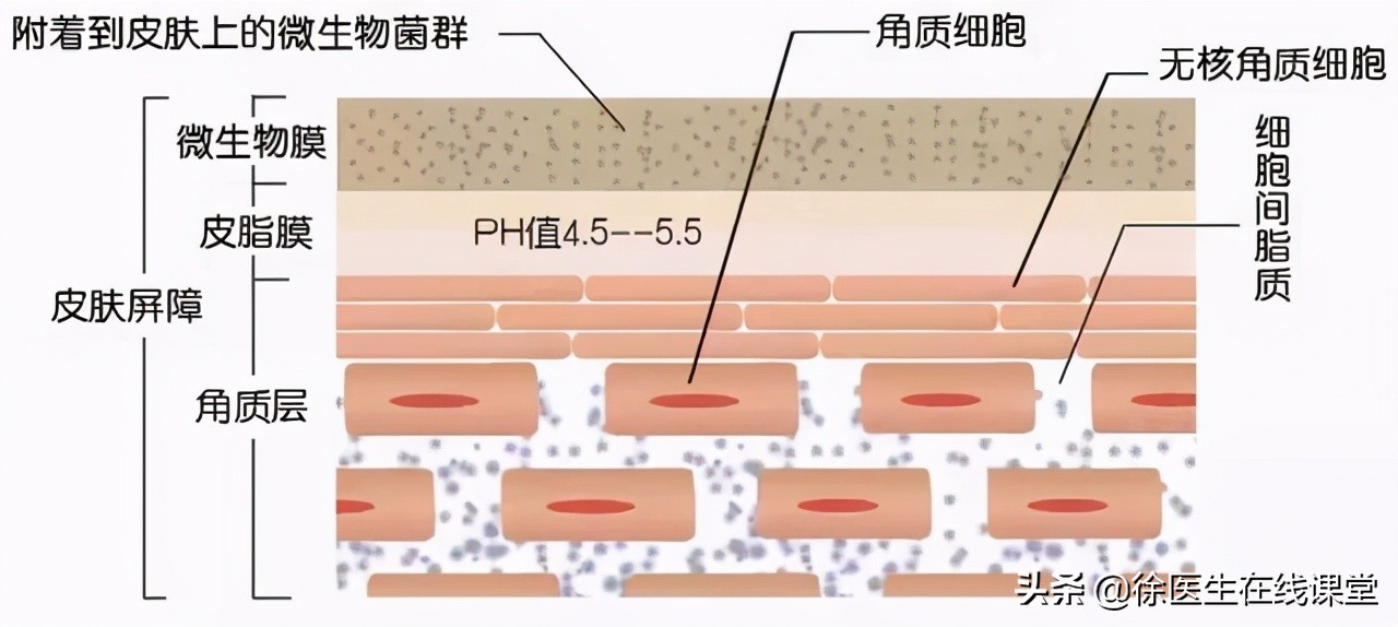 甲钴胺修复神经效果好，这3种病也可以用，但长期吃也有副作用