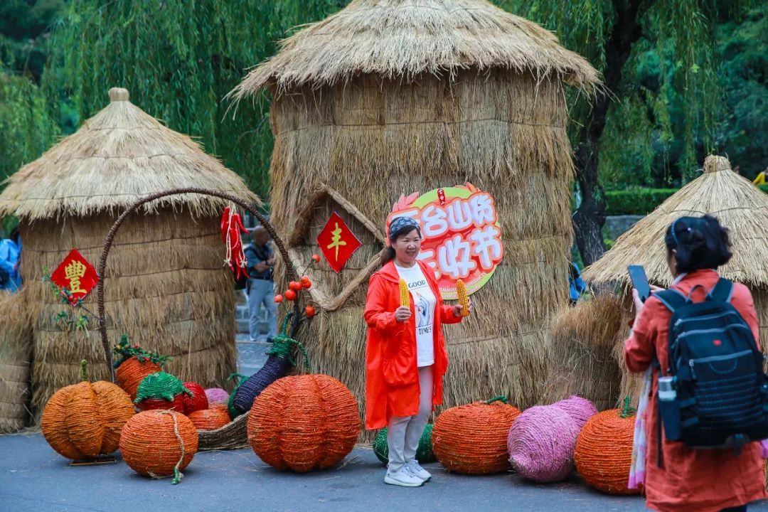 云台山货丰收节盛大开幕！免费尝！放肆购！你想要的都在云台山