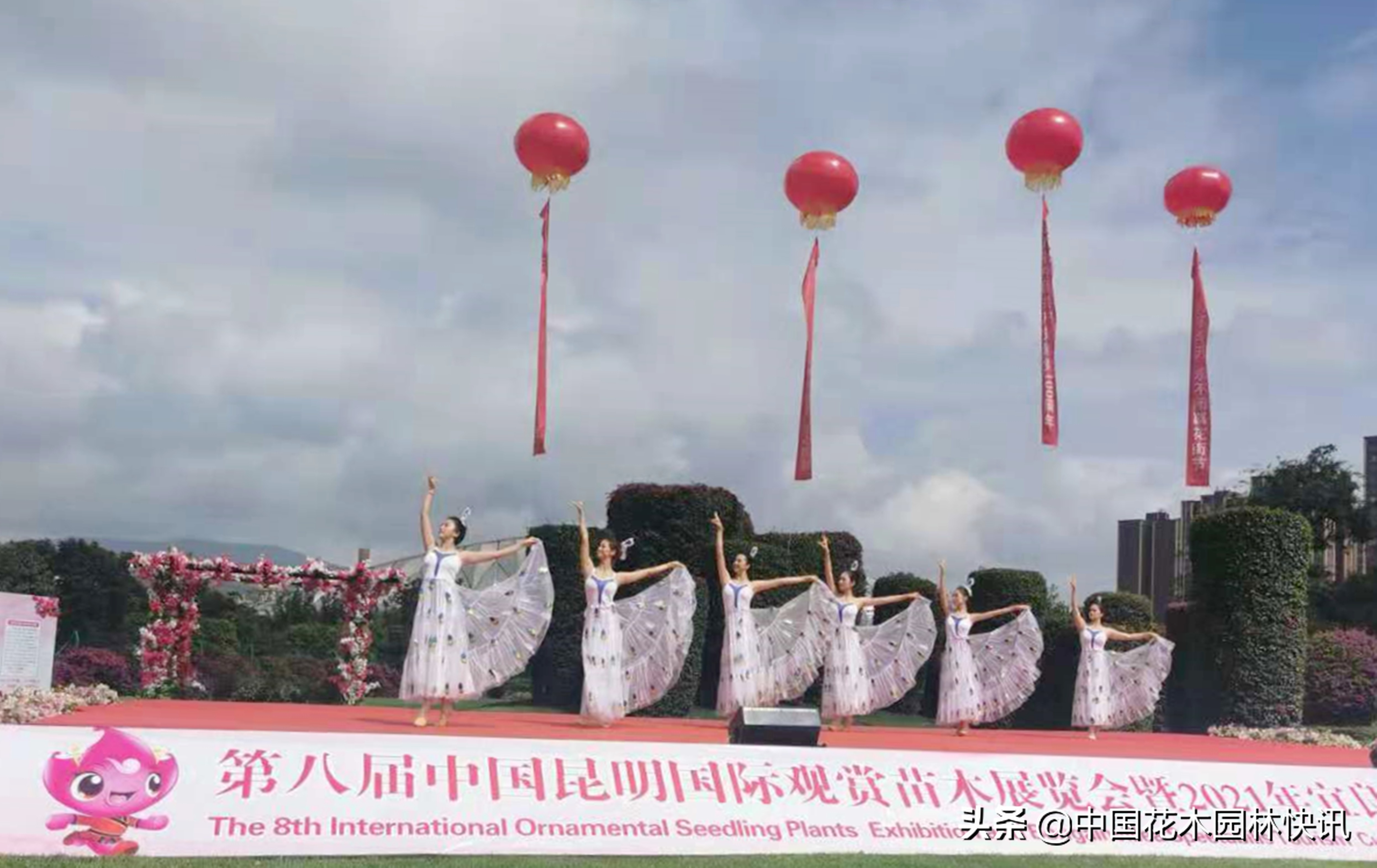 昆明宜良三角梅旅游文化花街节开幕：“路上花街”变“线上展示”