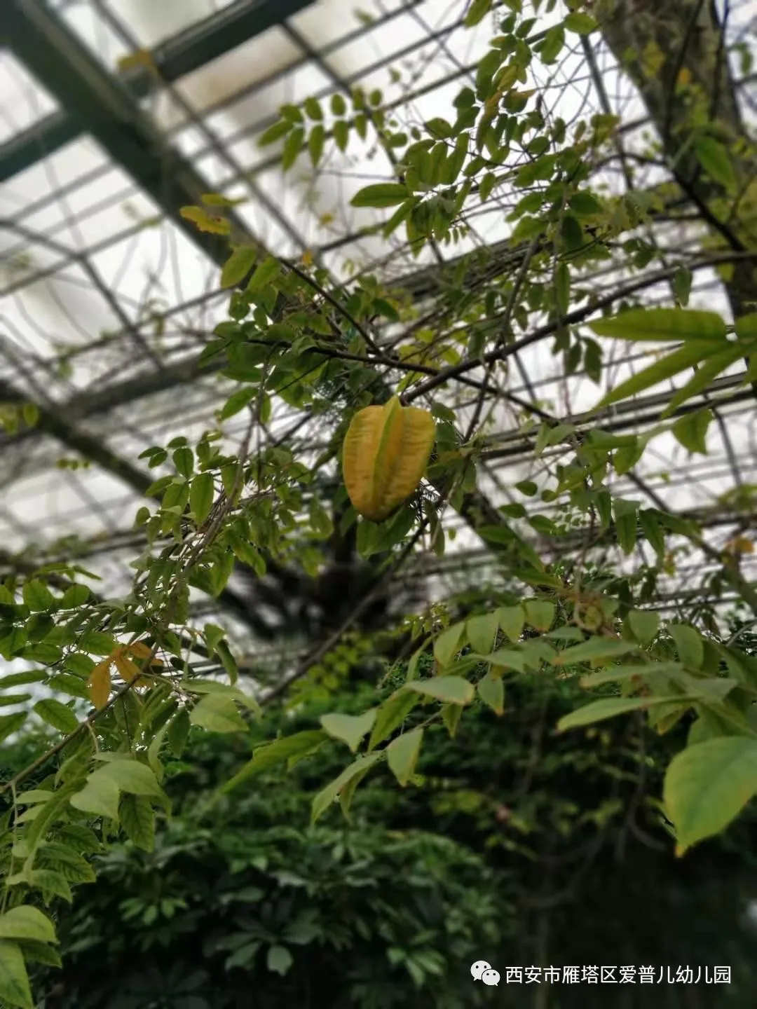 ����عˡ����ն��׶�԰�а�����ѧ��ʵ�߽���δ��