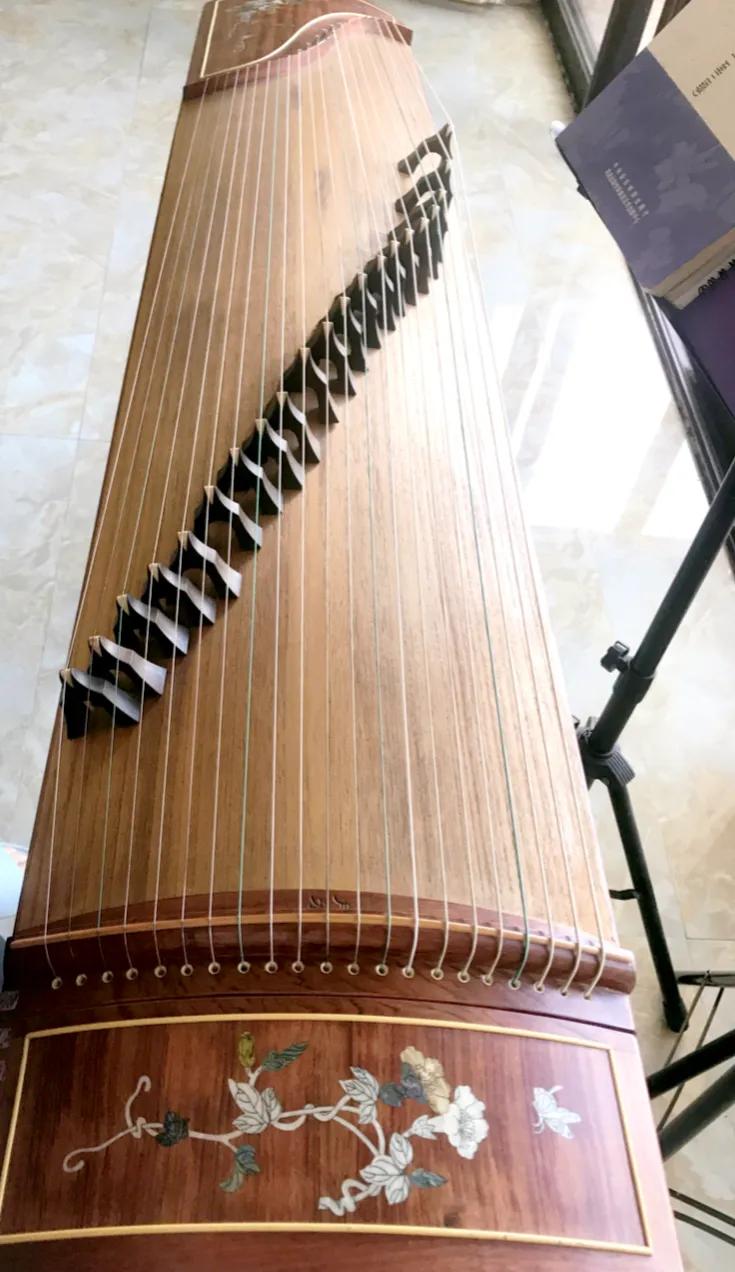 How to learn Guzheng (Guzheng Culture and History) iNEWS