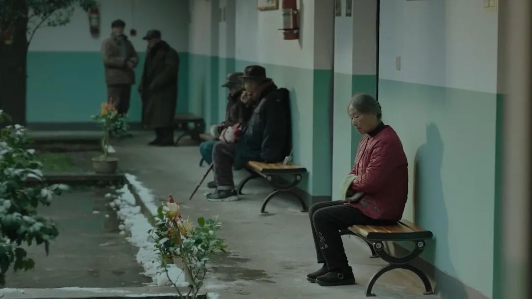 片中演员90%是导演亲戚，一波“虎”操作后，竟