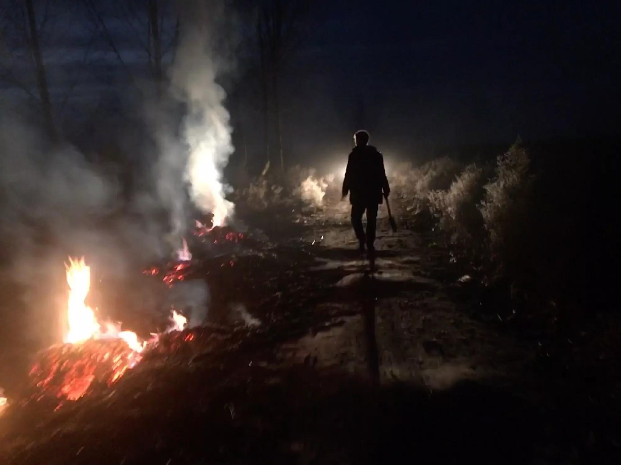 I am a Party member, what award to want? 