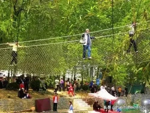 日照高端纯享1日游，海鲜宴，每人赠送鲍鱼1只，99元/人