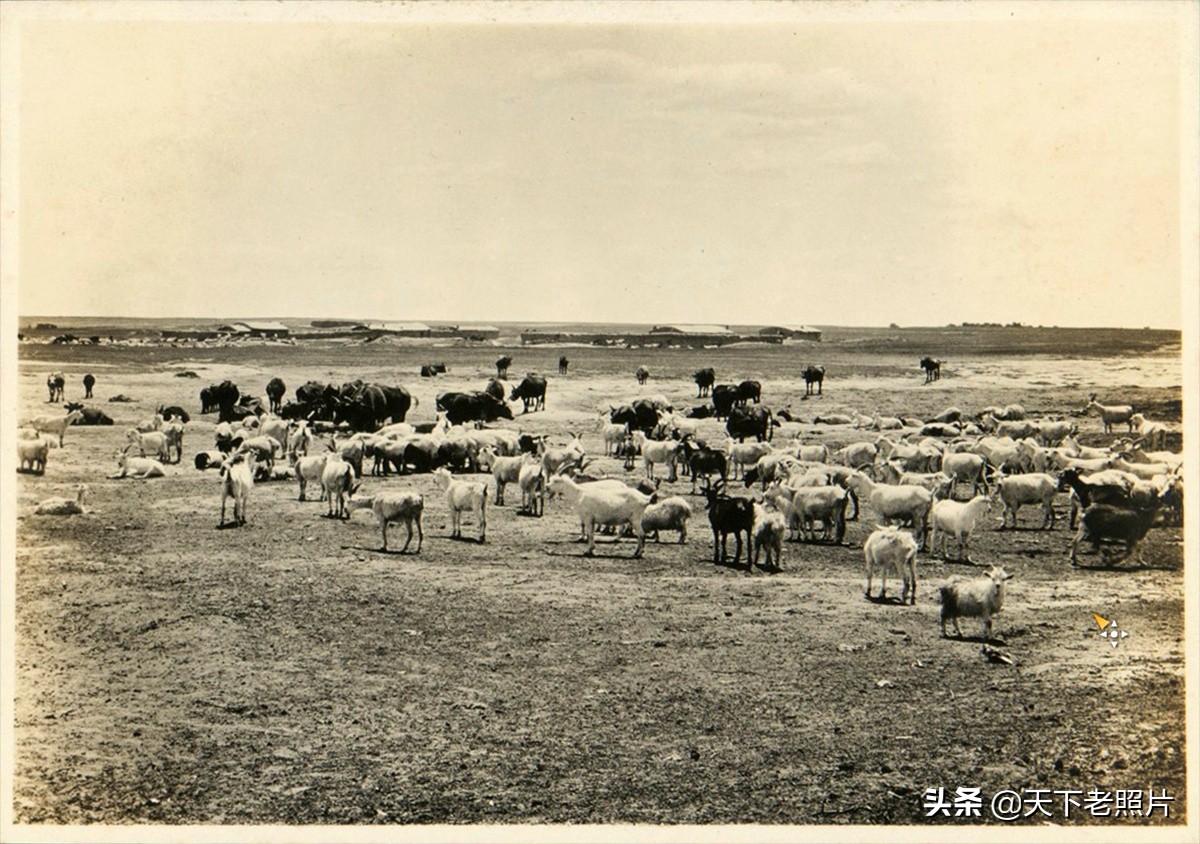 1924年的内蒙古通辽老照片 辽阔的草原美丽的女子