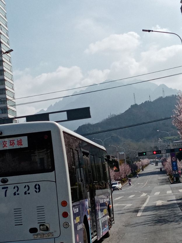 中国各阶层人士如何破除“宠美”“跪美”心态？