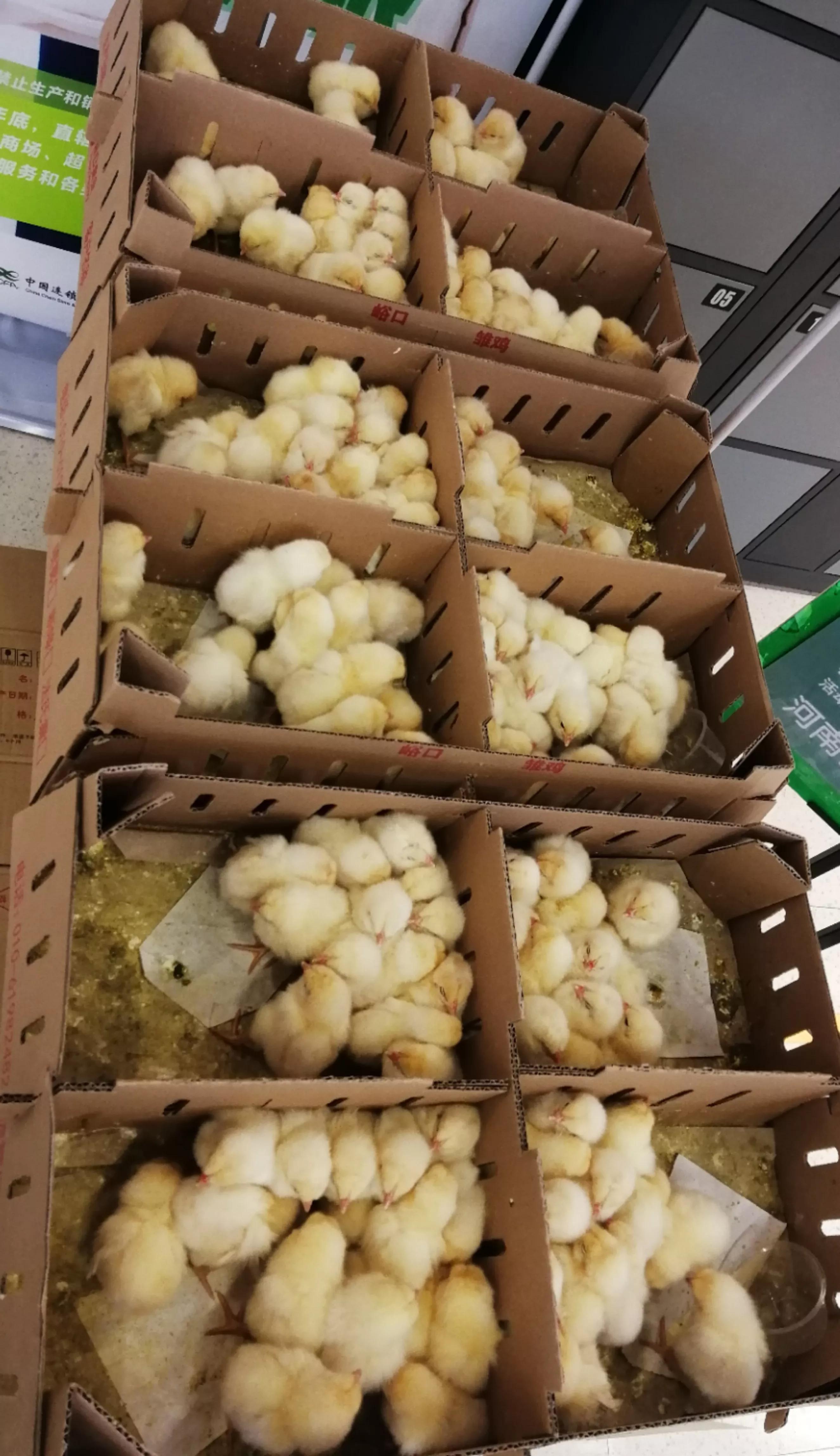 传统生意有新意的营销方法，销量至少提高到150%，你可以借鉴吗