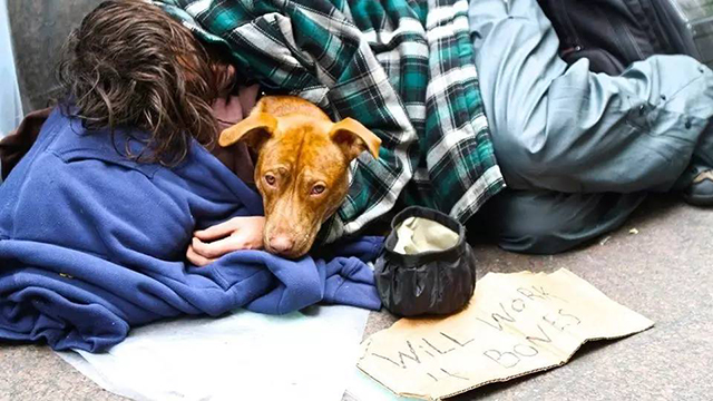 斯蒂格利茨：每次談起美國人的收入，中國人都會投來同情的目光