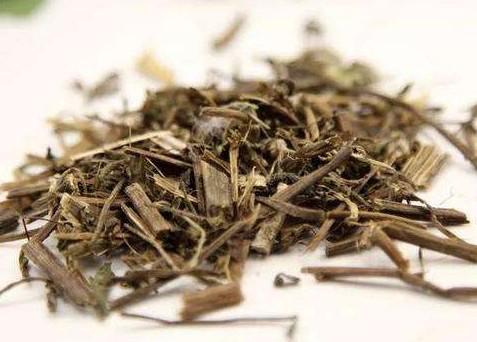 《本草精荟》：滋补肝肾：旱莲草的功效与应用