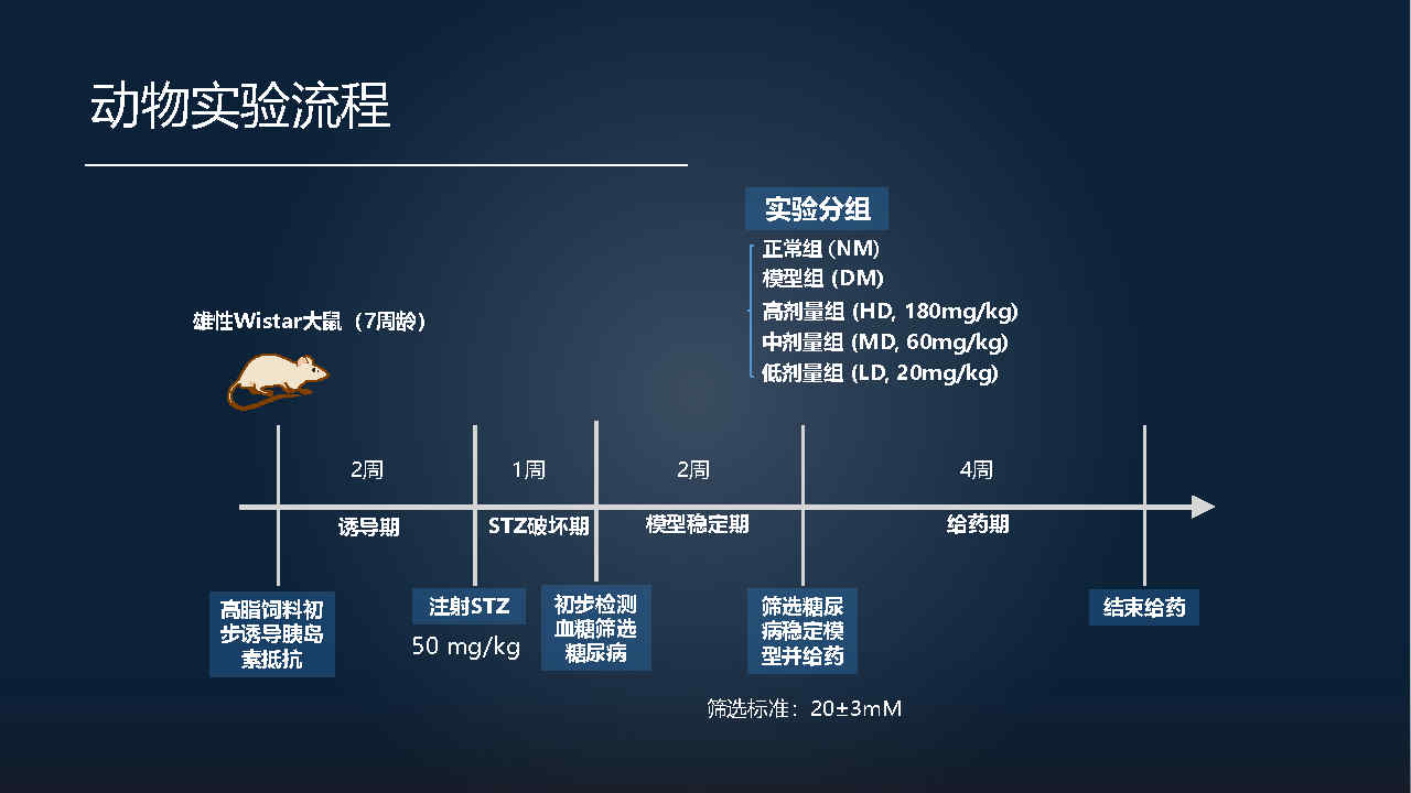 马百平：20分钟详解从有效成分到肠道菌群，中药如何突破？