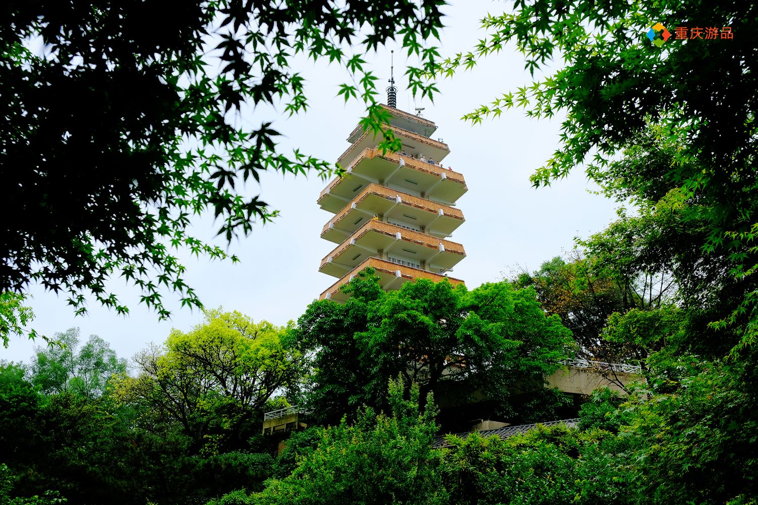 魅力渝中：建于清朝的私家园林，变成重庆人的城市公园，免费开放