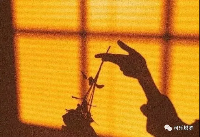 塔罗牌皇后逆位,塔罗牌月亮 第1张