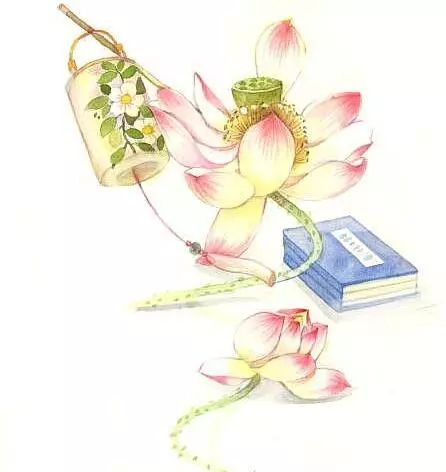 古风美物插画 | 裁为合欢扇，团团似明月