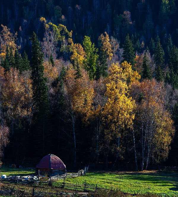 God's back garden-Kanas autumn scenery