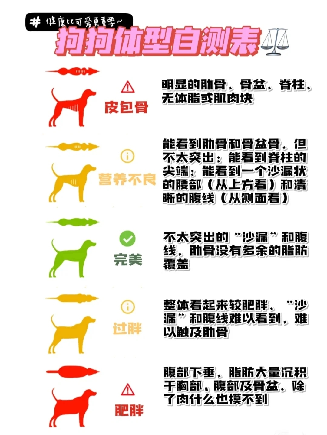 狗狗太瘦了 狗狗的体型该怎么判断 资讯咖