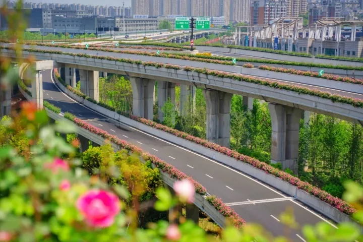 高架桥立体绿化---秀出城市绿色新景观