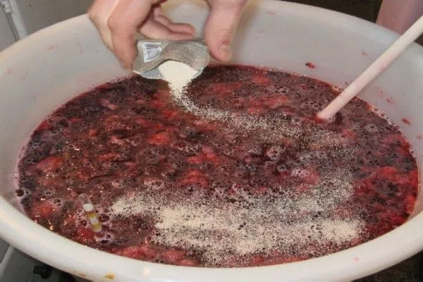 史上最全酿酒全过程详解，建议收藏（多图）