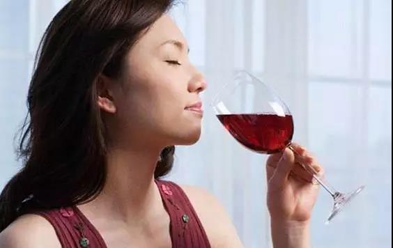 智利葡萄酒简史